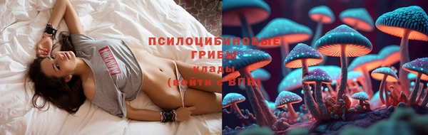 ГАЛЛЮЦИНОГЕННЫЕ ГРИБЫ Алексин