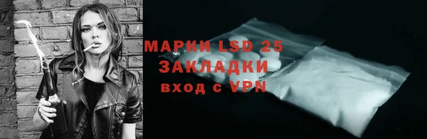 ГАЛЛЮЦИНОГЕННЫЕ ГРИБЫ Алексин