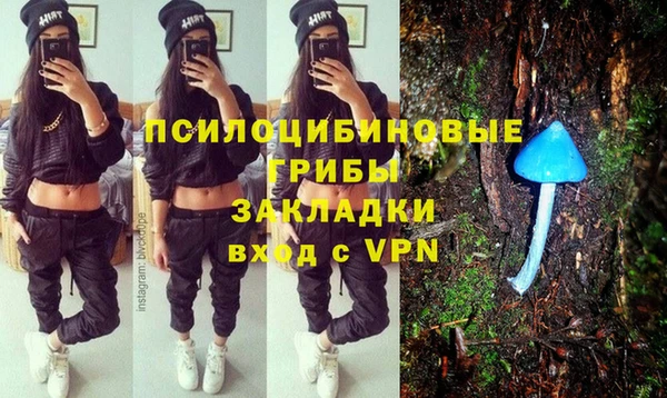круглые Алзамай