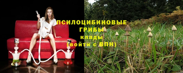 ГАЛЛЮЦИНОГЕННЫЕ ГРИБЫ Алексин