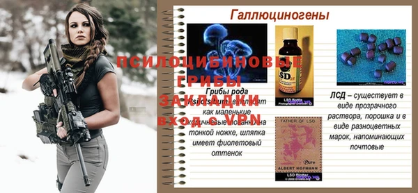 круглые Алзамай