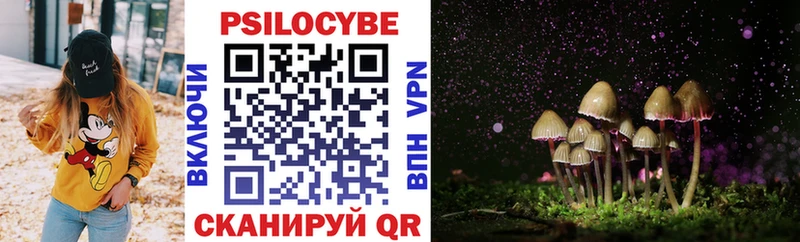площадка официальный сайт Завитинск Псилоцибиновые грибы ЛСД